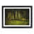 Black Framed