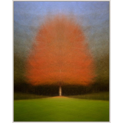 Persistence by Laura Zimmerman - Framed Wall Art