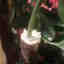 Photos des clients 1 de 3