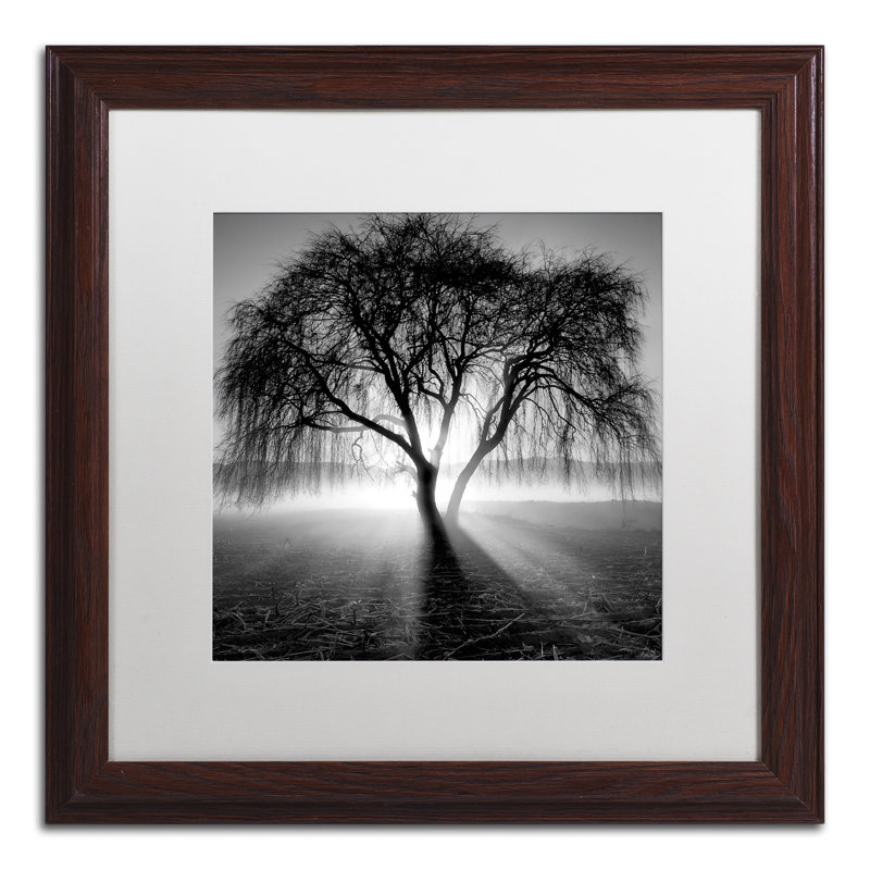 " Lightning Tree I " by Moises Levy, 11" H x 11" W x 0.5" D, Brown Framed