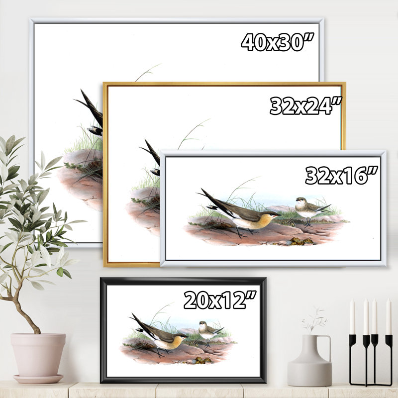 Illustration d'oiseau rétro II - impression sur toile, H 16 po x l 32 po x p 1 po, Toile avec cadre noir
