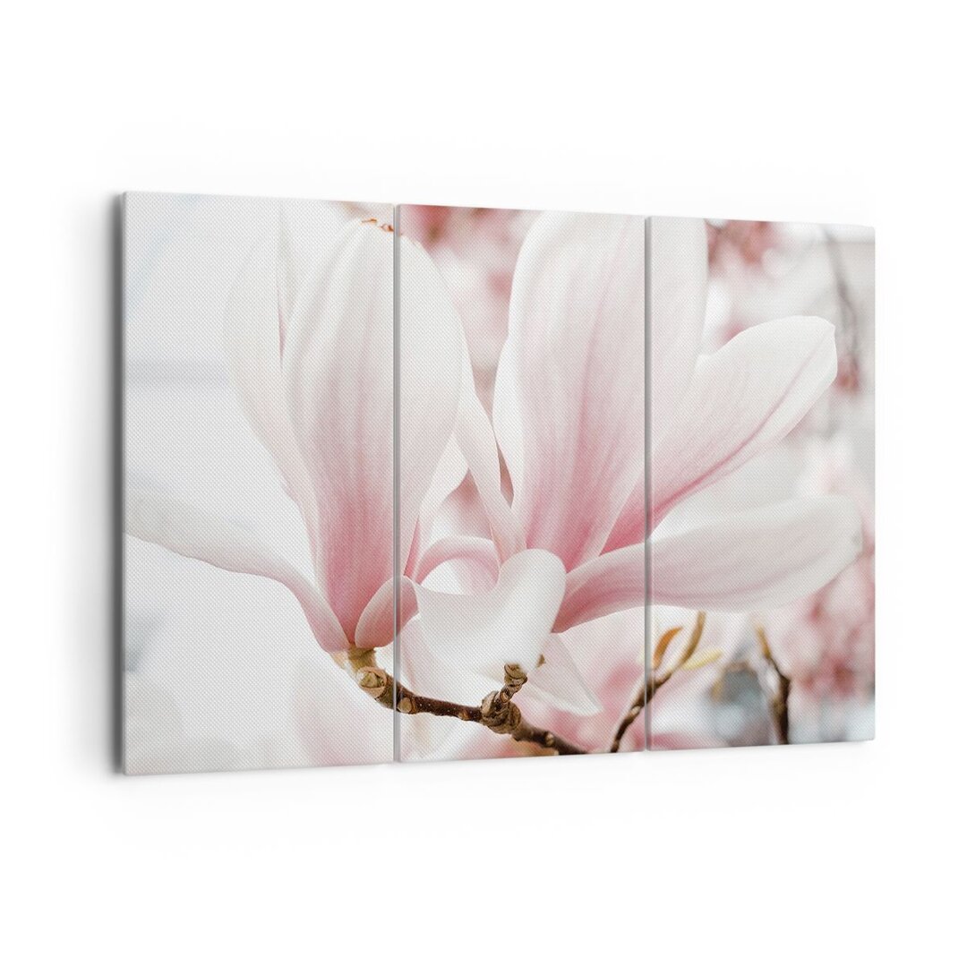 3-tlg. Leinwandbilder-Set Twig Magnolia Flower