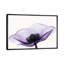 Anemone II - Print on Canvas-113646098-101342013