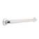 Concealed Mounting Grab Bar