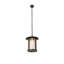 Fulton 1 - Light Pendant