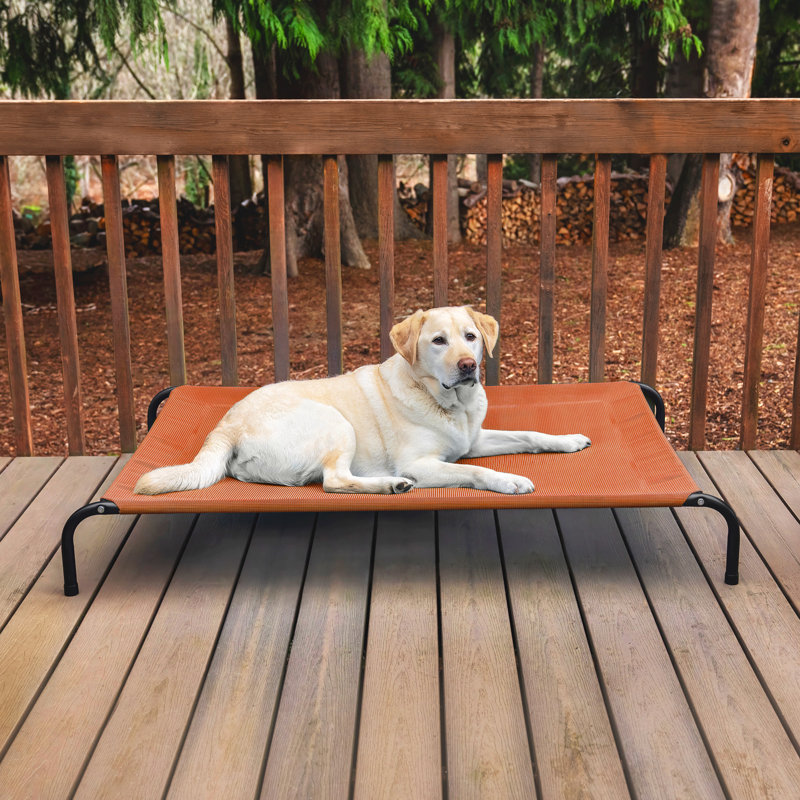 Elevated Cot Pet Bed, Red, 8" H x 36" W x 54.5" D