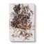 Forest Sunlight - Wrapped Canvas-56641536