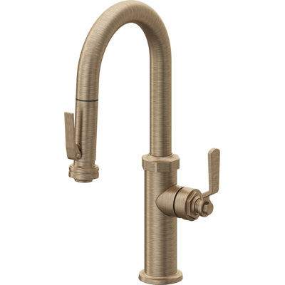 Pull-Down Prep/Bar Faucet With Squeeze Sprayer
