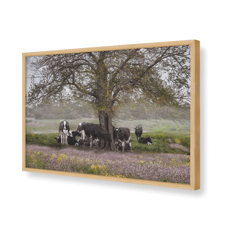 «The Favorite Tree» par Robin-Lee Vieira, reproduction d'art, 12 W x 8 H, Tan, Framed Print