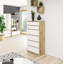Sprage 6 -Drawer Console