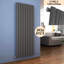 Tyra Vertical Oval Panel Radiators-1570725223-1570725216