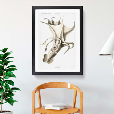 Cockeyed Squid by Carl Chun - Picture Frame Painting