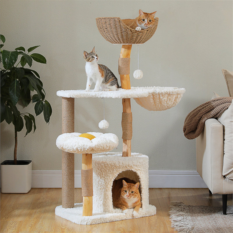 Arbre à chat