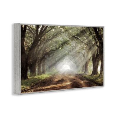 Sunlit Evergreen Grove Framed Giclee, design by Mike Jones