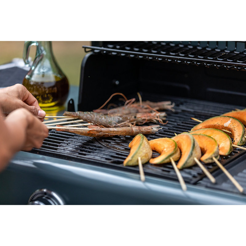 4 Series Premium S Gas BBQ