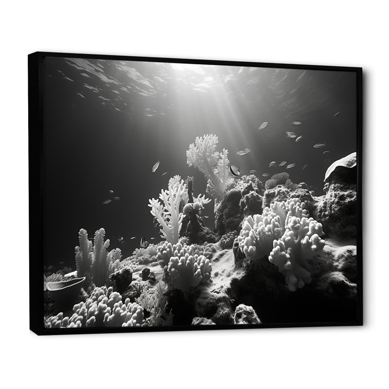 «Black and White Coastal Corals I - Beach & Ocean», reproduction d'art sur toile, Cadre flottant noir