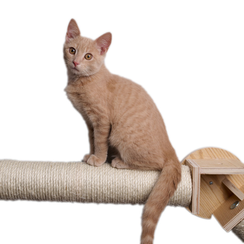 Wall Shelf Series: Bridge Cat Post W2307