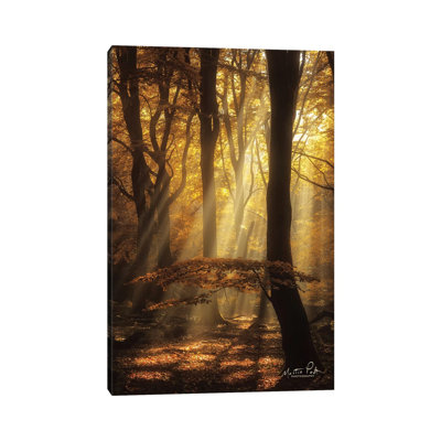 The Umbrella by Martin Podt - Wrapped Canvas Print
