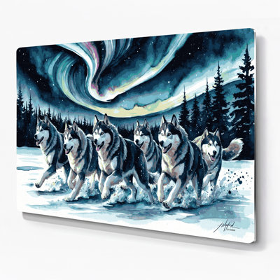 Dogs Alaskan Malamute Blue Metal Wall Art