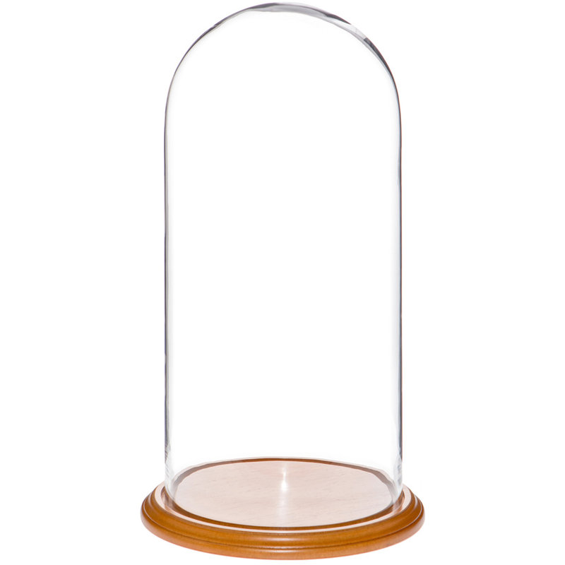 Cloche en verre Vucciria, Base en placage de chêne, H 20 po x l 9,75 po x P 9,75 po