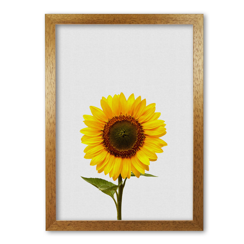 Sunflower Still Life - Print, Honey Oak Frame, 60 cm H x 42 cm W x 5 cm D