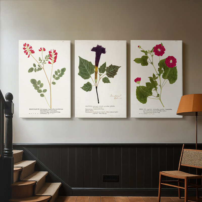 Nature imprimé Botanicals III - toile tendue sur mesure - 3 pièces, H 18 po x l 36 po