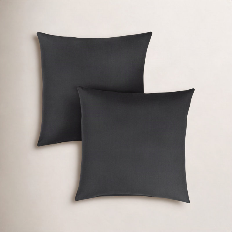 Ashish Outdoor Sunbrella Rectangular Pillow Cover & Insert, Carré de 20 po, Noir