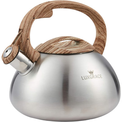 Intexca 2.5 Quarts Stovetop Tea Kettle