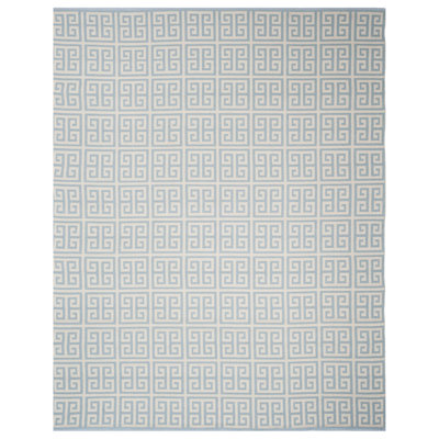 Cotton Hand Woven Area Rug