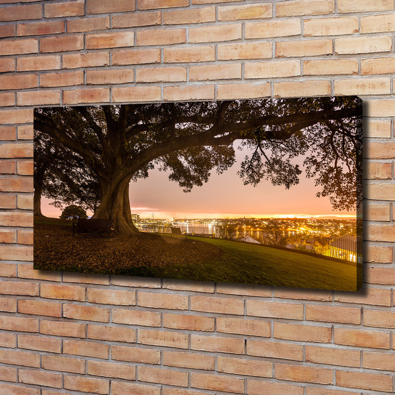 Old Tree - Wrapped Canvas Print