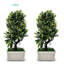 27cm Faux Bonsai Topiary in Vase