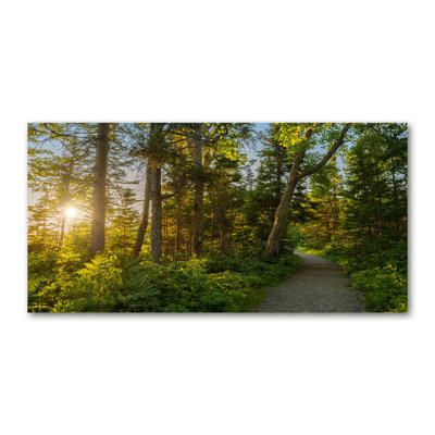 Forest - No Frame Print on Canvas