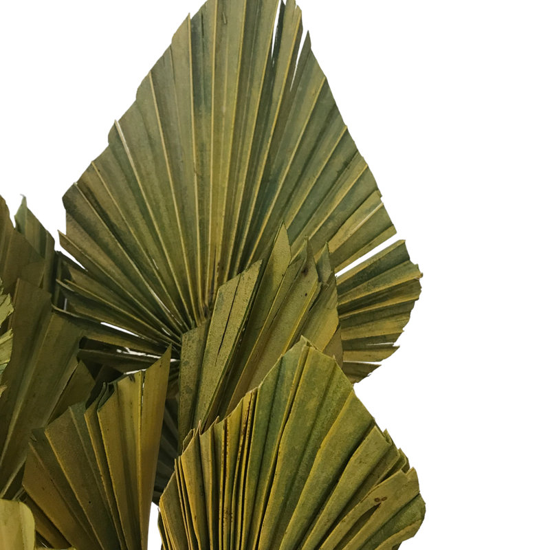 Fredela Arrangement, Lime Green