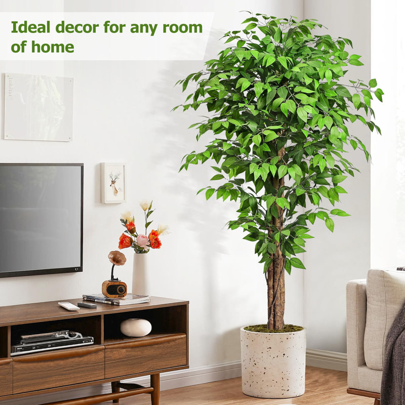 180cm Plant