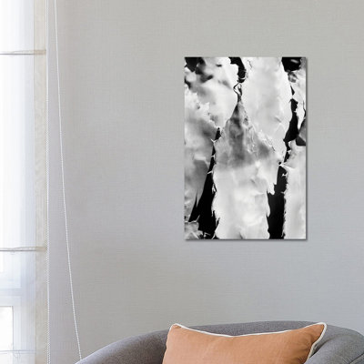 Agave Close Up by Philippe Hugonnard - Wrapped Canvas Print