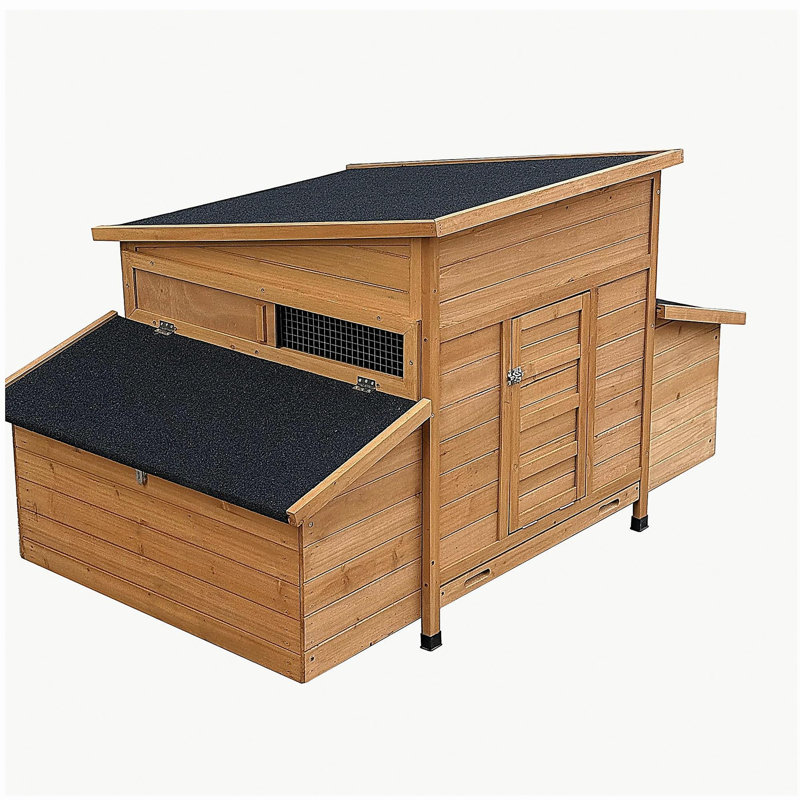 chicken coop