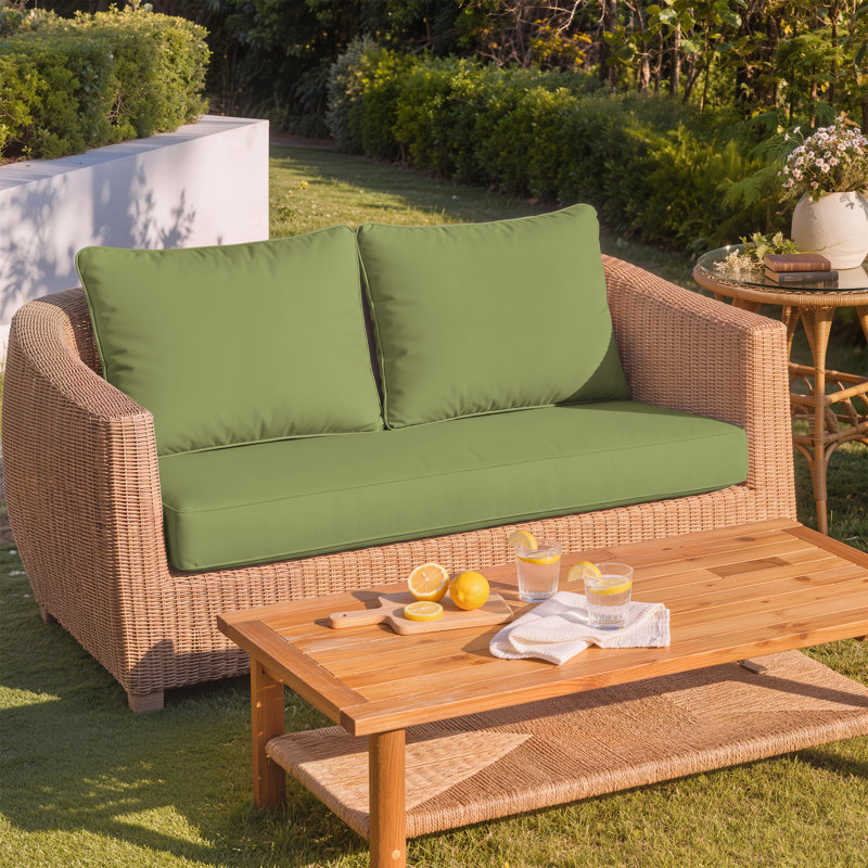Wynee Outdoor Loveseat Cushions 46X26X5 Bench Seat / Back Cushion, Only Cushions, Light Green