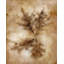 Autumnal Leaves II Print by Mari Urasawa-26775589-26775590