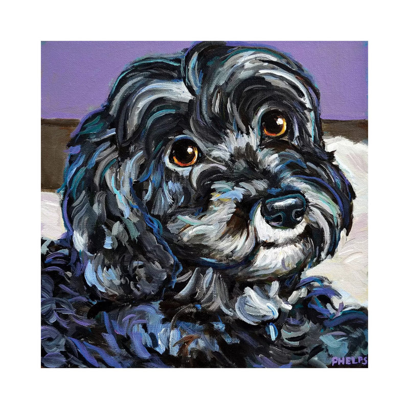 Cozy Black Schnoodle by Robert Phelps - Wrapped Canvas Print, 30.48 cm H x 30.48 cm W