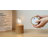 Ebern Designs Set of 2 Battery Powered Lamp