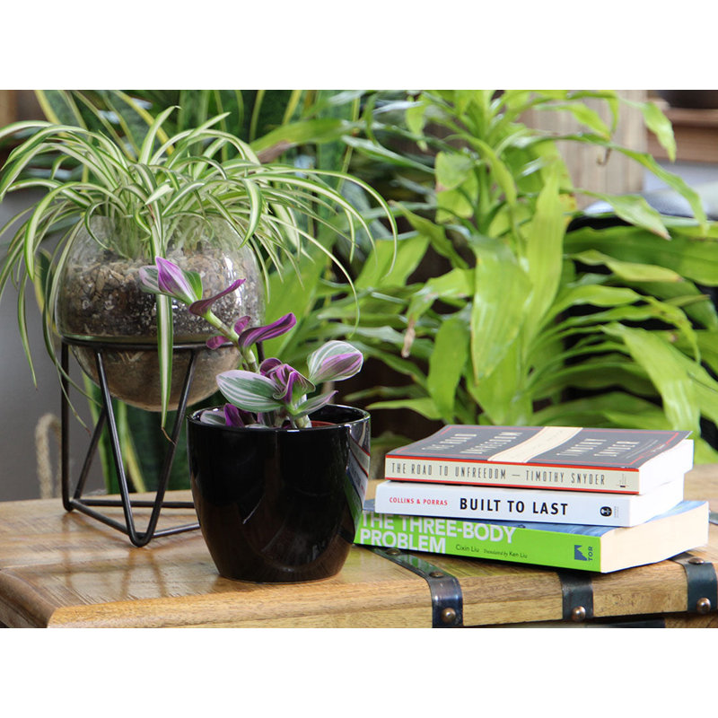 Cache-pot Peace Lily , Matte Light Blue