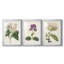 Antique Botanical Collection-522022678-522022666
