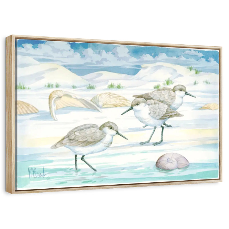 Shell Island Sandpipers, Floating Frame Natural Wood, 37" X 25"