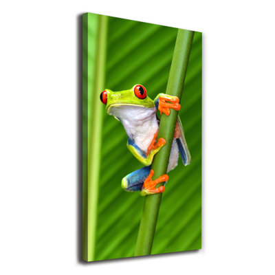 Hapeville Tree Frog - Wrapped Canvas Print