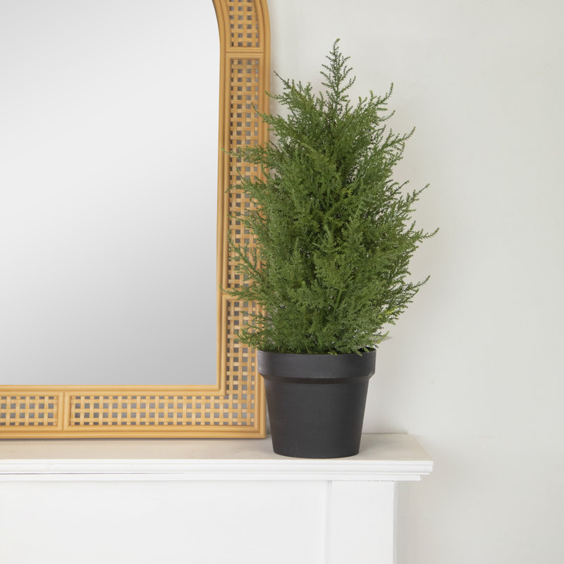 Petit arbre à cèdre artificiel en pot rond non éclairé, H 24 po x l 12 po x P 12 po