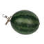 Melon d'eau artificiel avec vigne