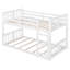 Bunk Bed With Ladder-952520347
