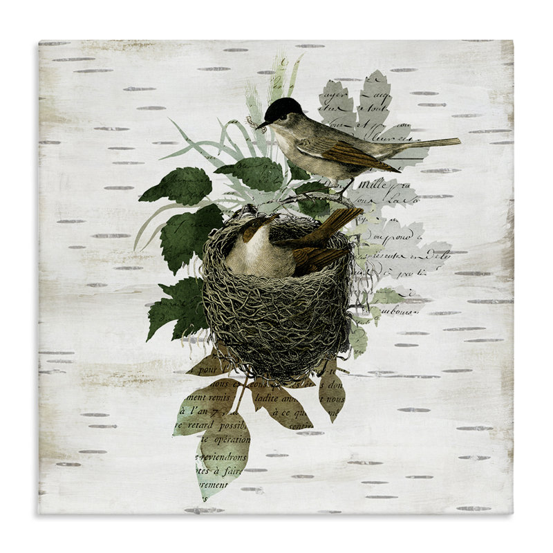Oiseaux dans une toile de nid rétro, design par Susan Arnot, H 24 po x l 24 po