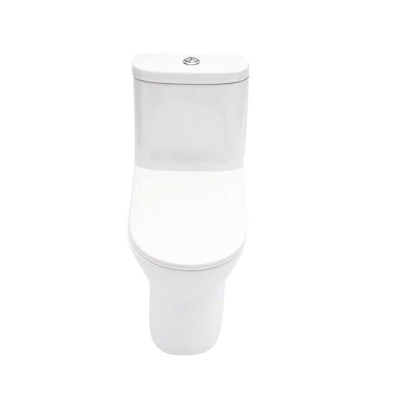 12 - Inch Rough In, One Piece Toilet Of Ceramic, 1.22/1.6 , Dual Flush, Soft Closing Seat, 800G Map, Quiet Operation, Effortless Hygiene, Skirted Design, Quick Release Ceramic For Bathroom Use,