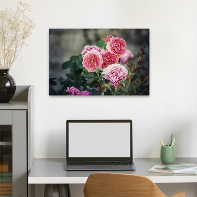 Plantes, fleurs, roses d'Ecosse I, art mural